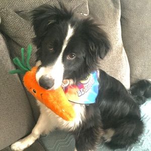 Reserved for Carrie Klemp Oliver ONLY